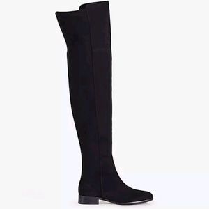 Ann Taylor over the micro suede Amaris boots